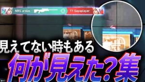 【疑惑】見えてない時もある。何が見えた？集【VCJ 2023&VCT,AVL 2023】