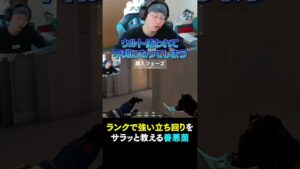 立ち回りのコツを教えてくれる善悪菌【valorant】#valorant #shorts