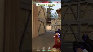 Calculated clutch #valorant #shorts