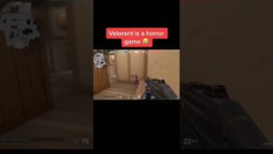 There Got Sense #valorant #valorantfunny