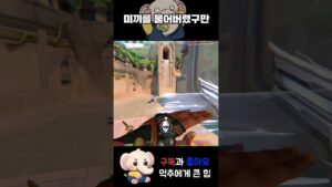 미끼를 물어버렸구만 #shorts  #valorant #valorantclips