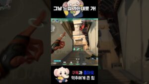 그냥 느낌 가는대로 가는거여~ #shorts  #valorant #valorantclips