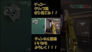 Gekko Clips ゲッコー クリップ #64 08 #valorant #valorantclips #ヴァロラント #ゲーム #Shorts