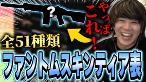 【永久保存版】上手い人は全員コレ使ってます。ファントムのスキンならマジでこれが一番です【VALORANT】