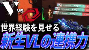 【仲間】世界経験を見せる。新生VARRELの連携力【VCJ2024 Split1 Main Stage Day 2 - VL vs SG】