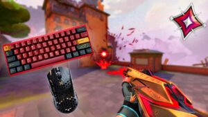 XERØFANG Vandal ASMR (ft. 540Hz) + GIVEAWAY