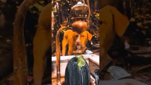 hamri uljjan🥺🙏🏼#valorant #vairalshort #youtubeshorts 🥺🥺🥺🥺🥺