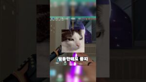 티어 올리기 싫으시면 내려주세요  #valorant