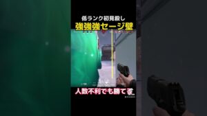 懐かしいのが出てきたw #valorant #ヴァロラント #valorantclips #valorantshorts