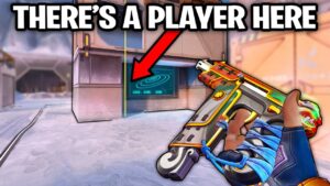 61 Clips where players become invisible Ninja&#039;s &#x1f431;&#x200d;&#x1f464;