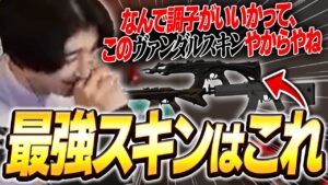 rionが激推しするヴァンダルスキンはこれだ！【VALORANT/ヴァロラント】