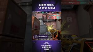 내 몸에서 나가!!!!!!! 지마 | 마스터스 마드리드