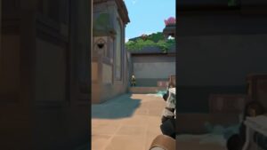 #youtubeshorts  #shorts  #shortvideo  #valorant  #valorantfunny  #fyp