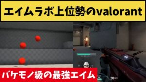 エイムラボ上位勢がヴァロラントをやるとこうなるｗｗ【VALORANT】【クリップ集】