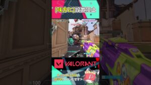(味方に)設置阻止 #valorant #valorantclips #shorts