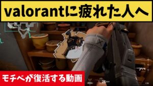 valorantに疲れた人へ！なぜかモチベが回復する動画がコチラｗ【VALORANT】【クリップ集】