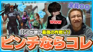 【天才軍師？】これがFENNELの作戦です。【VALORANT/ヴァロラント】