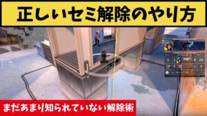 これが正しいセミ解除のやり方だ！まだあまり知られていない解除術を紹介！【VALORANT】【クリップ集】