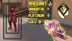 What The Top 0.01% RADIANT AIM Looks Like...