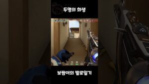 [보쌈이의 발로일기]#shorts  #발로란트 #valorant