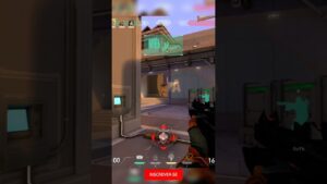 O TIPO DE RAZE QUE DÁ TRABALHO